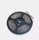 Waterproof Blue 12V 5M 2835 SMD 600 LED Led Strip Lights - TRYPER LED LIGHTING