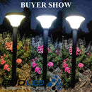 LED Solar Bollard Light Waterproof Outdoor Garden spike Lamp CCT changeable - TRYPER LED LIGHTING