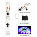 12V WS2811 Dream Color Addressable RGB LED Strip with RF Remote - TRYPER LED LIGHTING