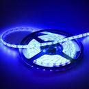 Waterproof Blue 12V 5M 2835 SMD 300 LED Led Strip Lights - TRYPER LED LIGHTING