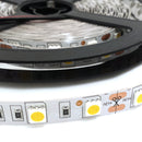 5050 SMD Warm White 5M 300Leds LED Strips Strip Light - TRYPER LED LIGHTING