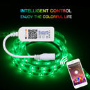 5050 RGBW COOL WHITE 5M 300 LEDS SMD LED Strip Light 12V Bluetooth Controller - TRYPER LED LIGHTING