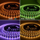 5050 RGBWW WARM WHITE 5M 300 LEDS SMD LED Strip Light 12V Bluetooth Controller - TRYPER LED LIGHTING