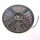 Waterproof 5M Cool White 5050 SMD 300 LED  12V Led Strip Lights Black Board - TRYPER LED LIGHTING