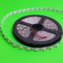 DC 24V 5050 SMD Cool White 5M 300Leds LED Strips Led Strip Lights - TRYPER LED LIGHTING