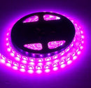 Waterproof Pink 12V 5M 5050 SMD 300 LED Led Strip Lights - TRYPER LED LIGHTING