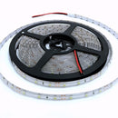Waterproof 12V Cool White 5M 3528 SMD 300 LED Strips Led Strip Lights - TRYPER LED LIGHTING