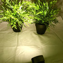 Waterproof 12V 5W COB LED Outdoor Garden Spotlights - TRYPER LED LIGHTING