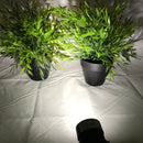 12V 10W COB LEDOutdoor Garden Spotlights landscape light - TRYPER LED LIGHTING