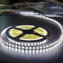 DC 24V5M 2835 600 LEDS Cool White SMD LED Strips Led Strip Lights - TRYPER LED LIGHTING